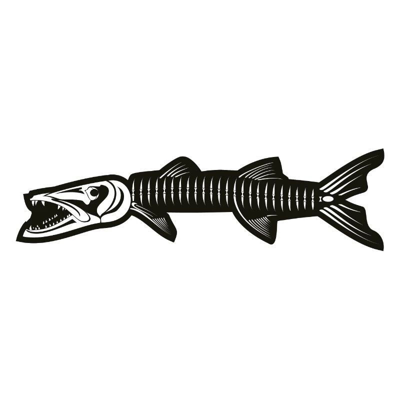 Squelette de Barracuda