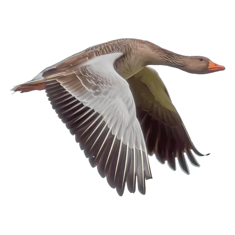 Goose