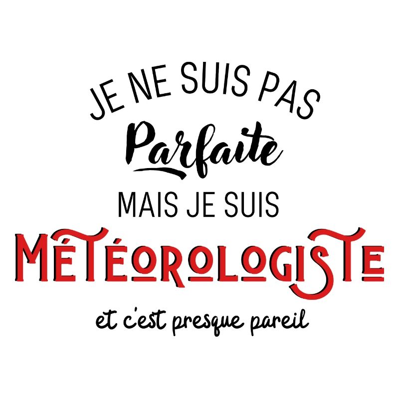 pas parfaite mais météorologiste idée cadeau