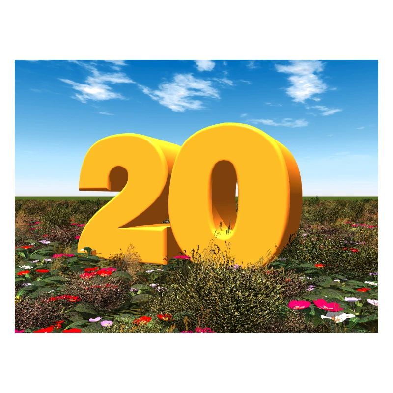 Année 20