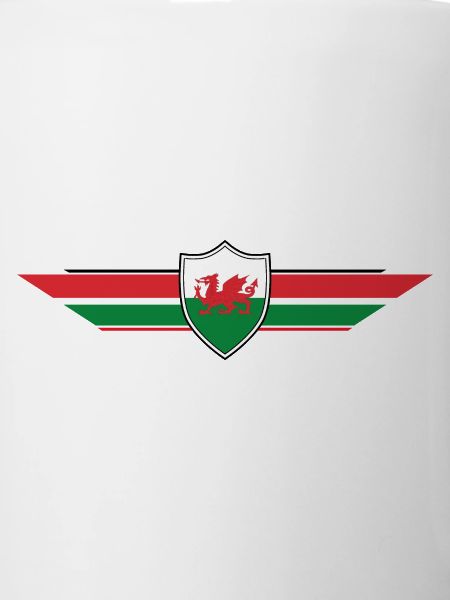 Wales Fan World Cup