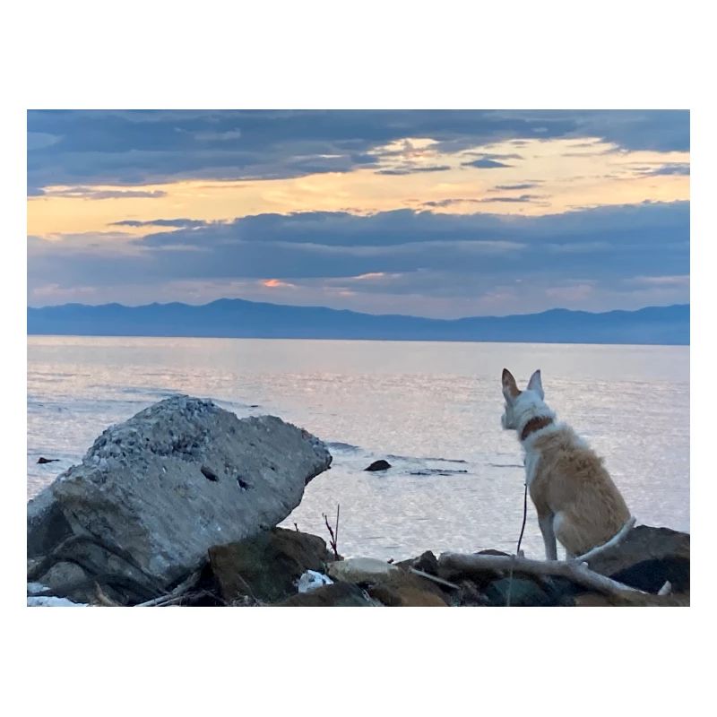 Mr. Charly on the Beach