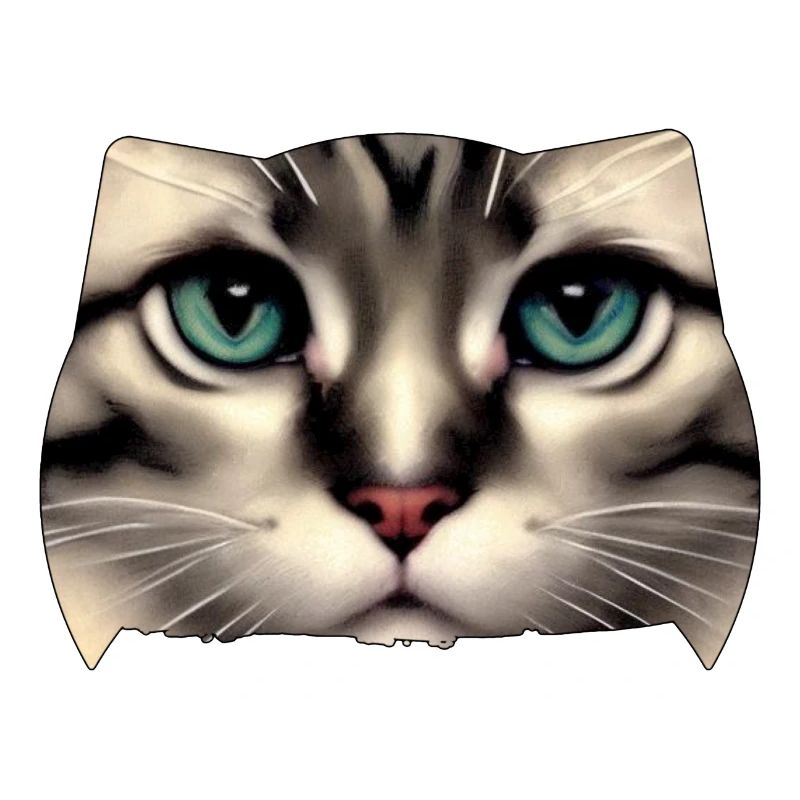 Katzengesicht