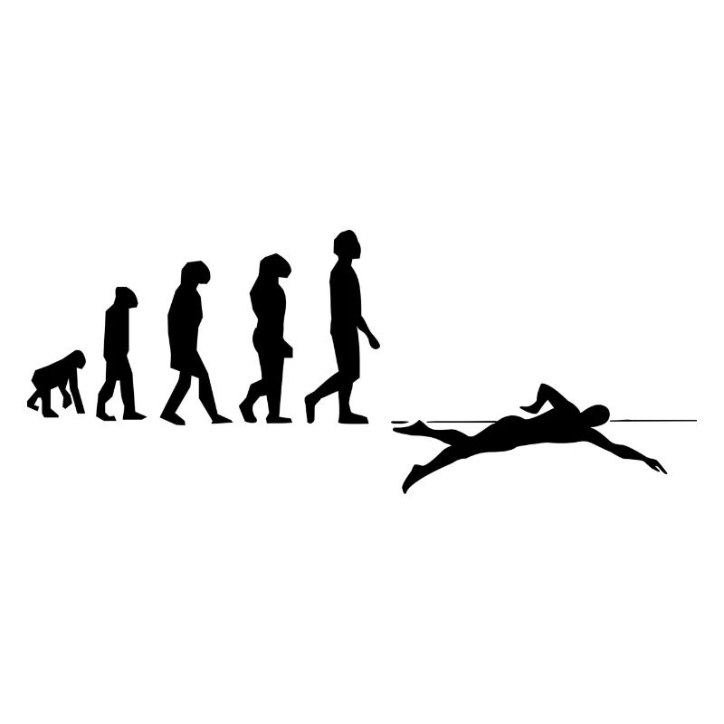 Evolution des Schwimmens