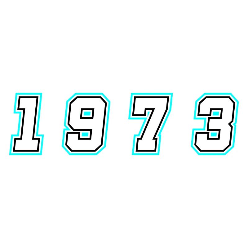 1973 Year Number