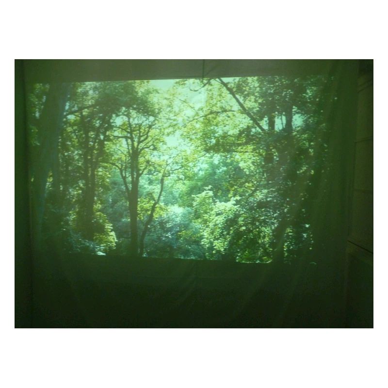 Wald