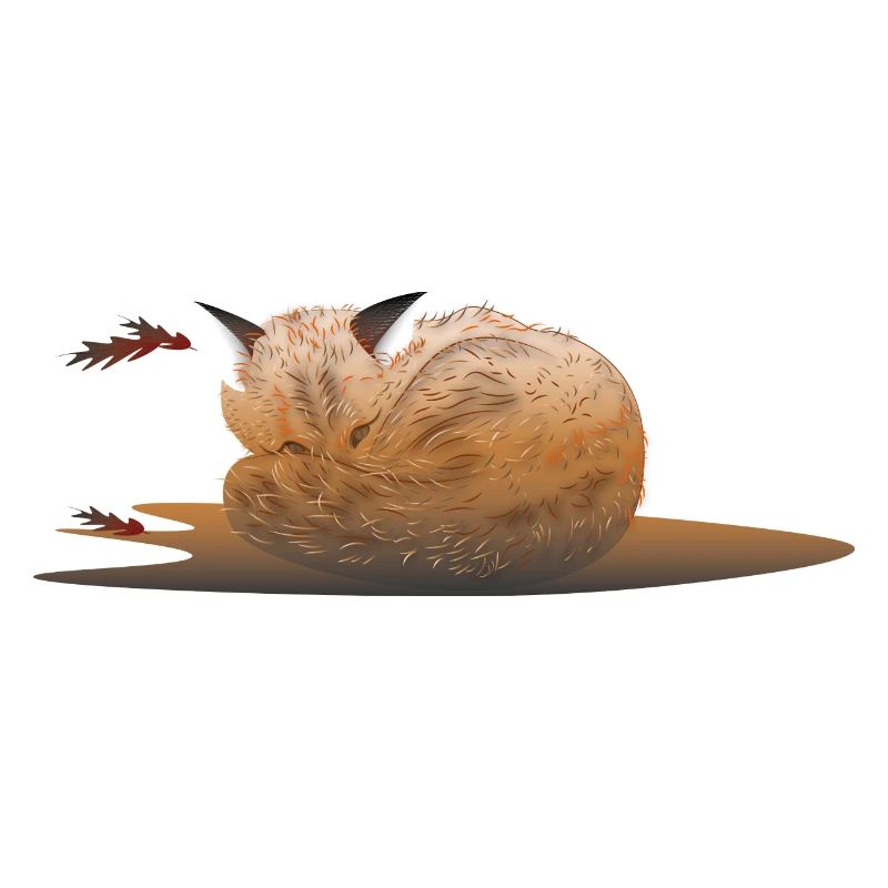 Sleepy fox