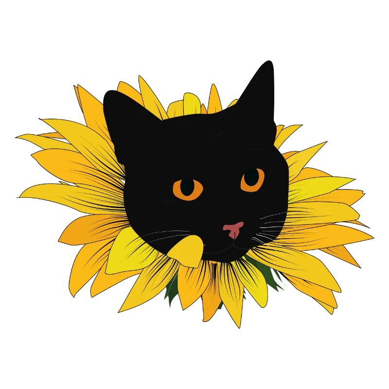 Kätzchen in Sonnenblume