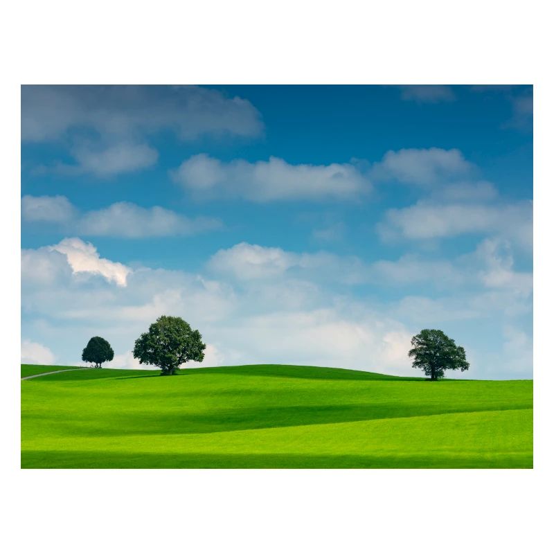 Calming landscape