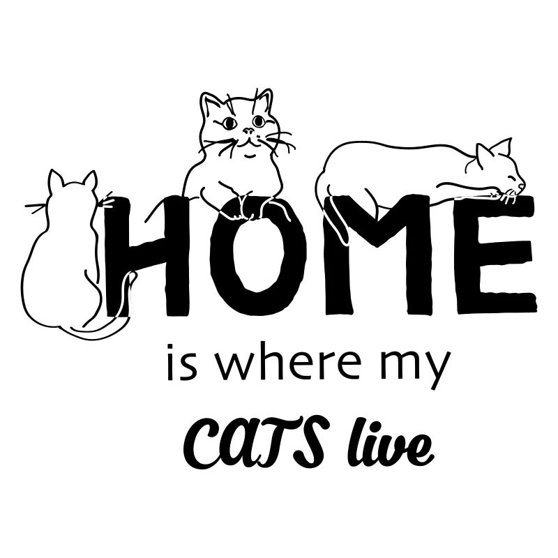 Chats à la maison