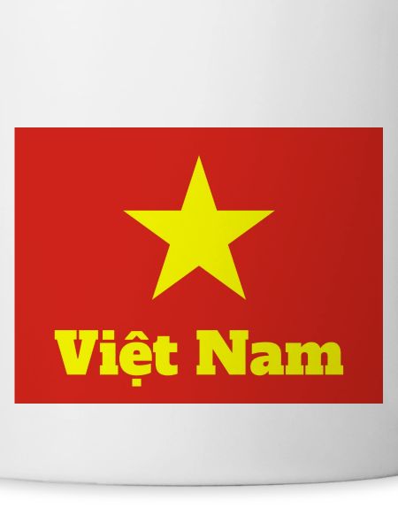 Vietnamese Flag