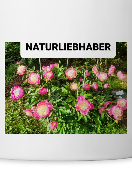 Peonies