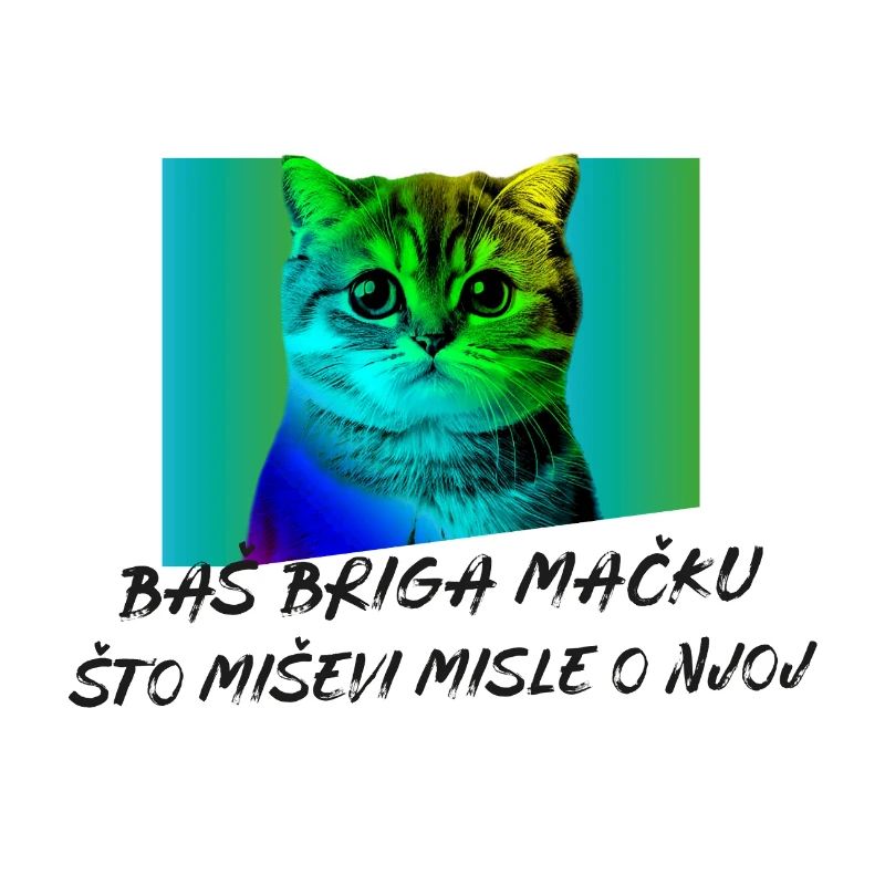 BASSE BRIGA MACKU