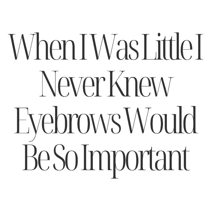 Eyebrows Are Important Funny Quote