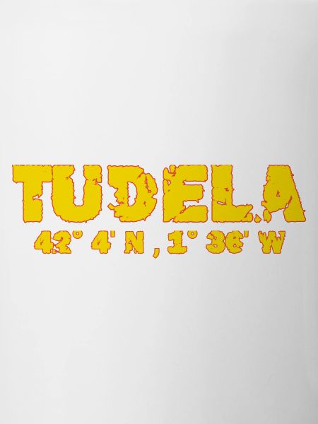 Tudela Spain Coordinates