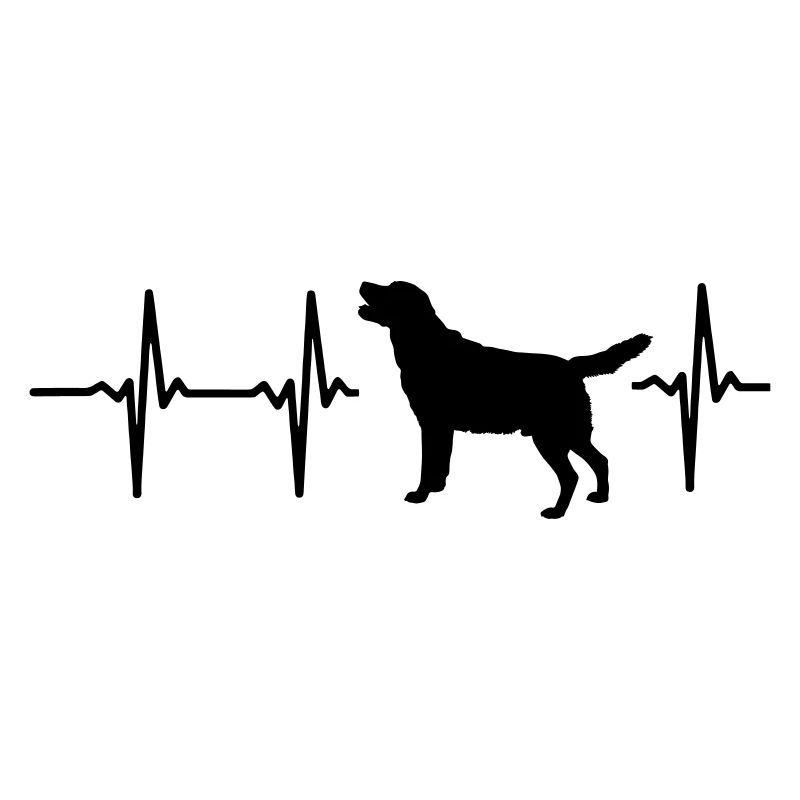 Mon cœur bat pour chiens !