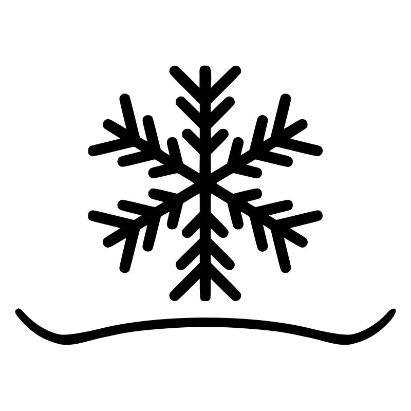 Snowboard Snow X Board