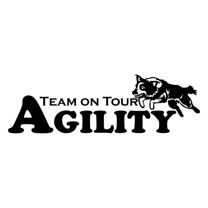 Agility Team on Tour