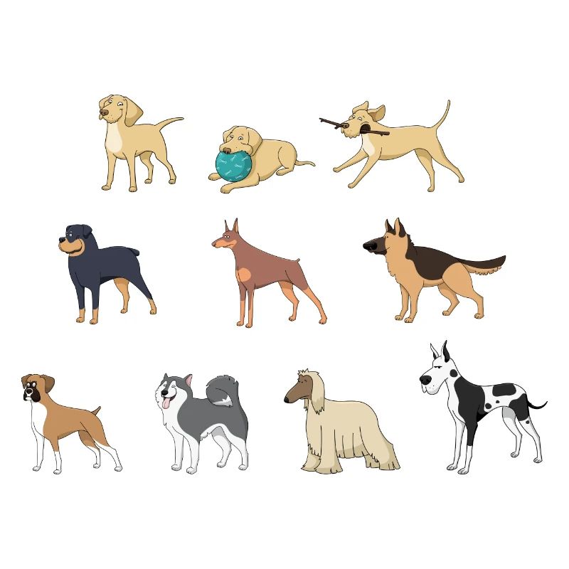 dog