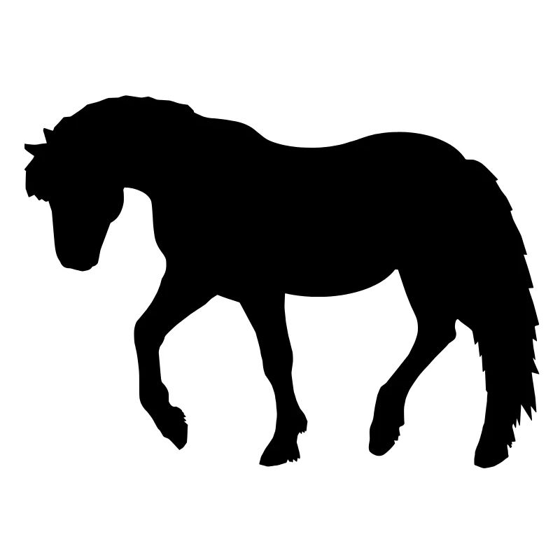 Poney