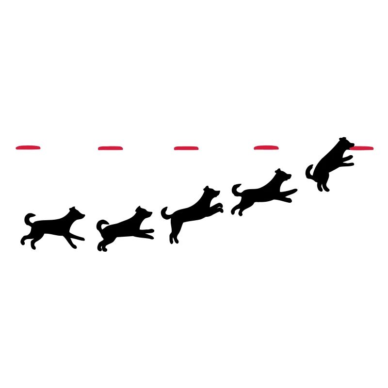 Frisbee dog