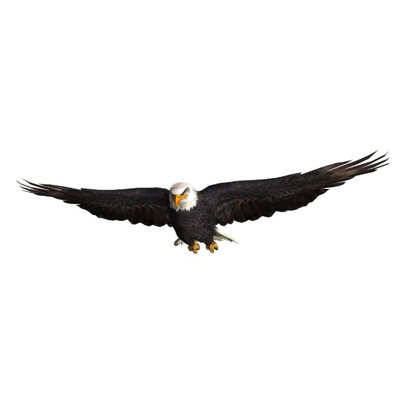 Aigle blanc