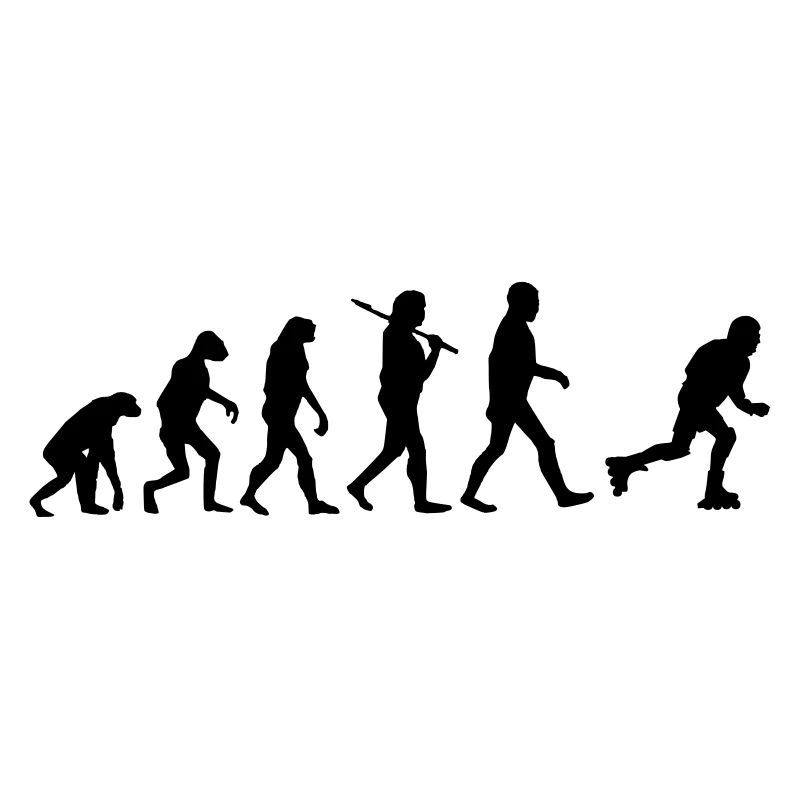 patins à roulettes Evolution