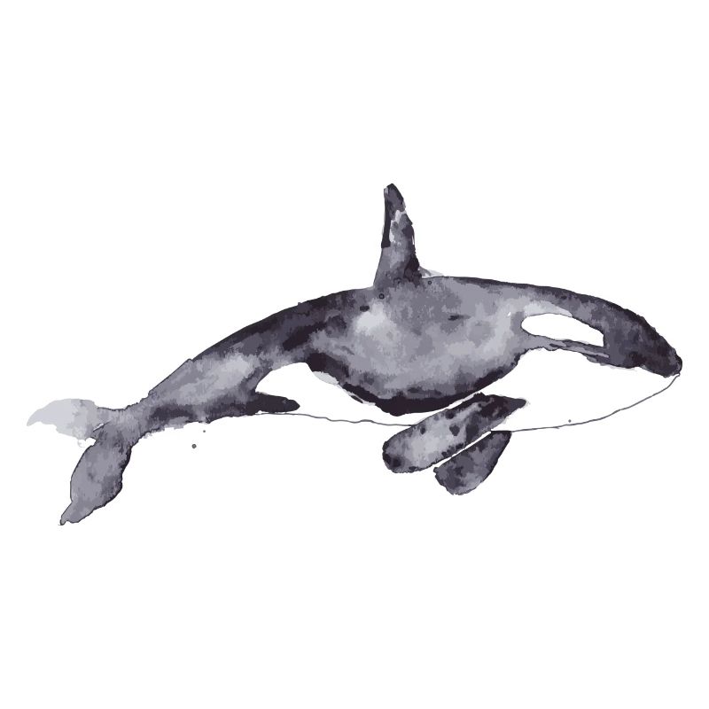 Orca