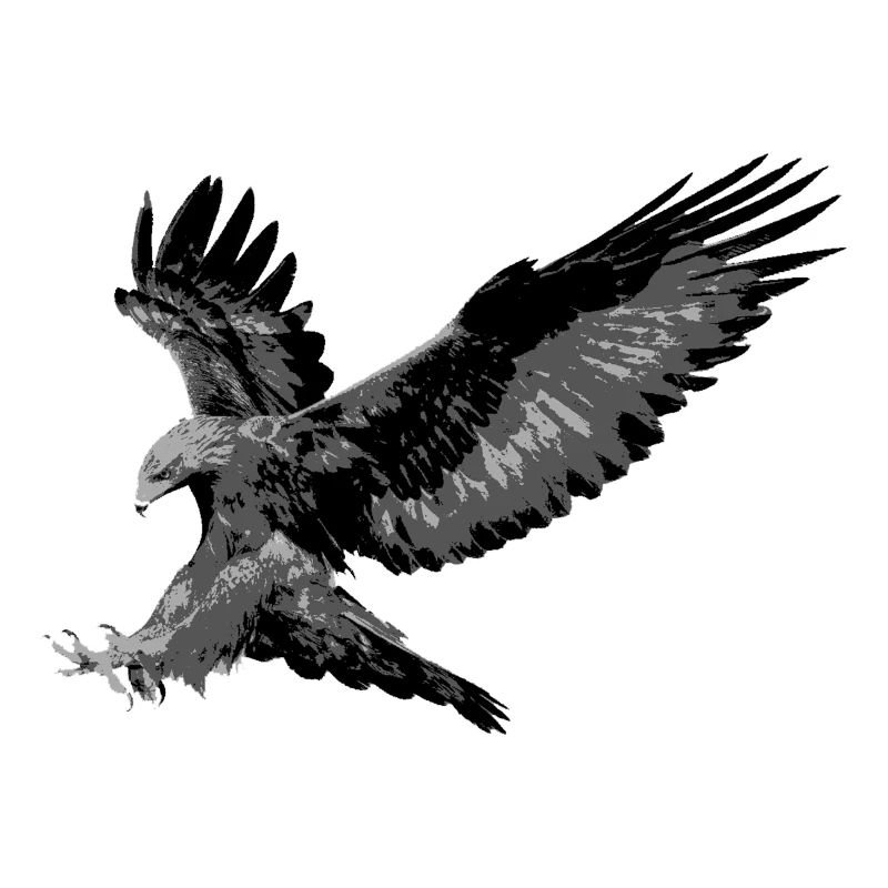 Eagle