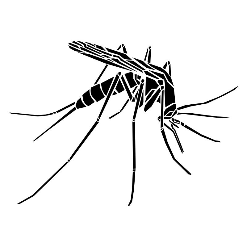 Mücke / Mosquito