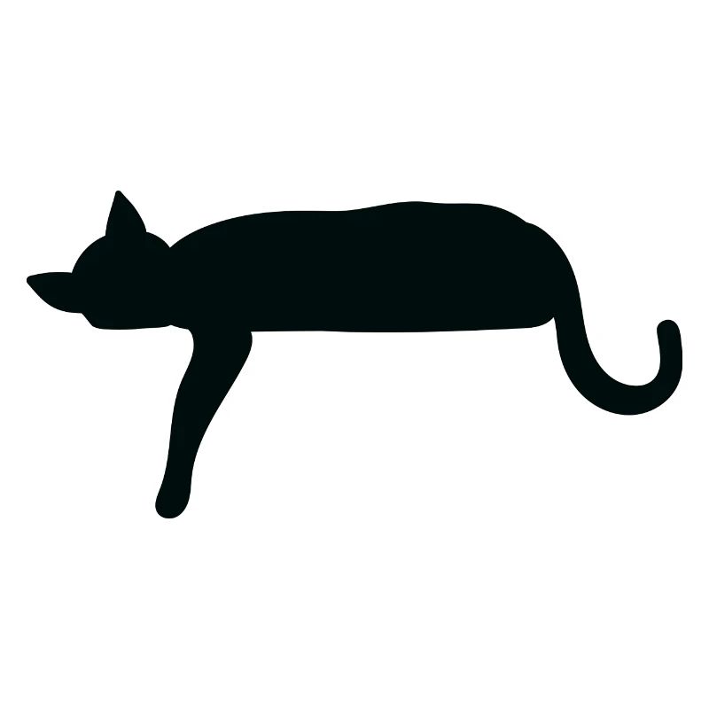 Silhouette de chat s’couchant