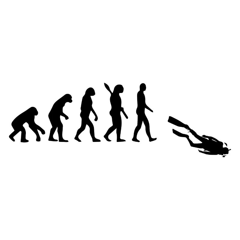 Diving Dive tauchen