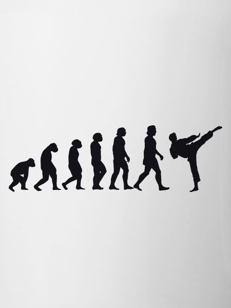 Evolution of Karate