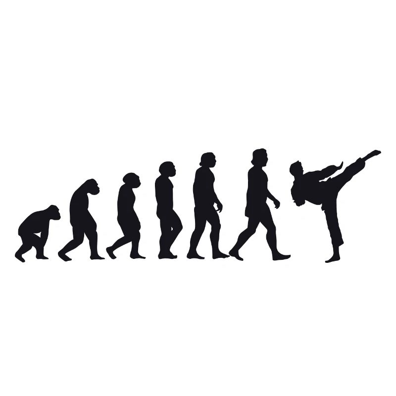 Evolution of Karate