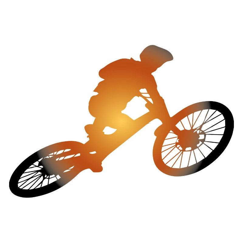 Descente VTT VTT Montagne