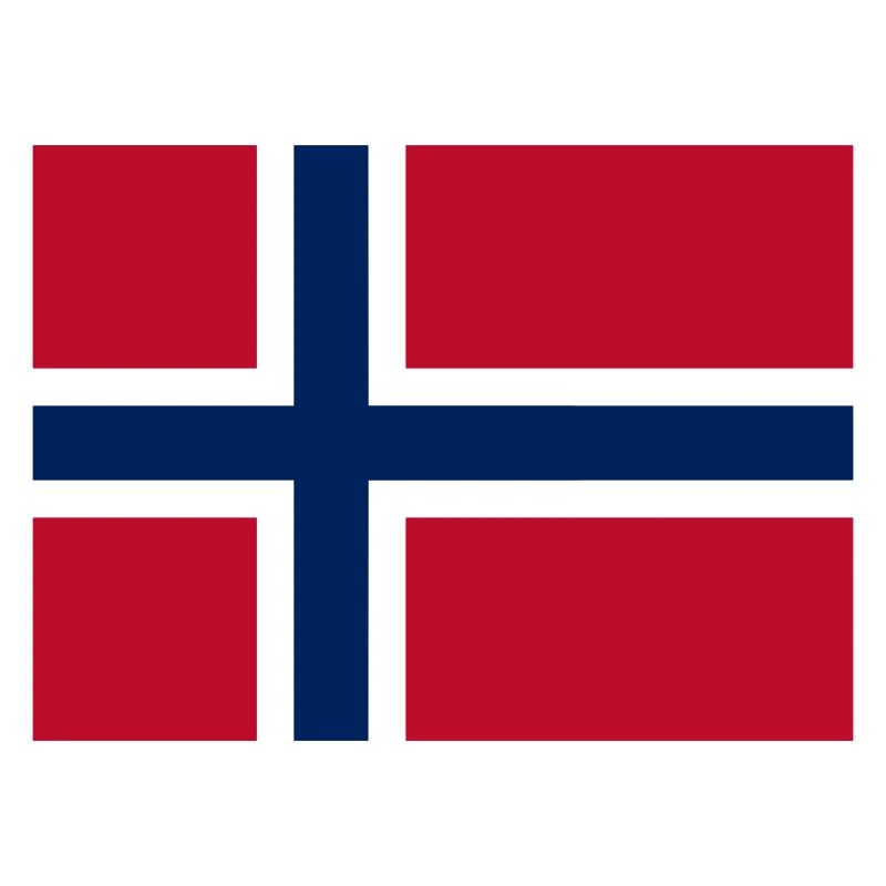 Drapeau Norvège / Norway flag