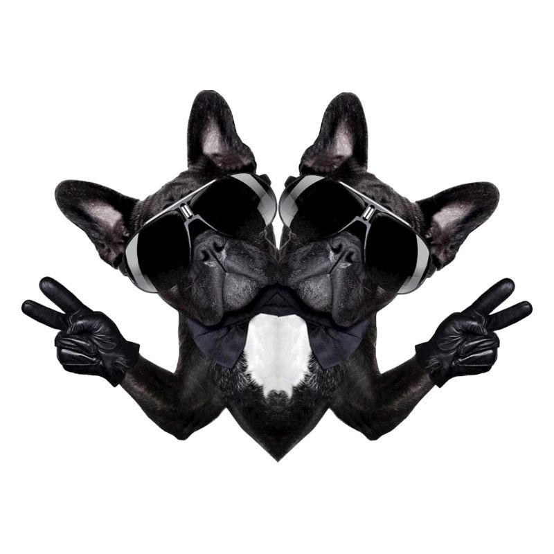 Chien abstrait