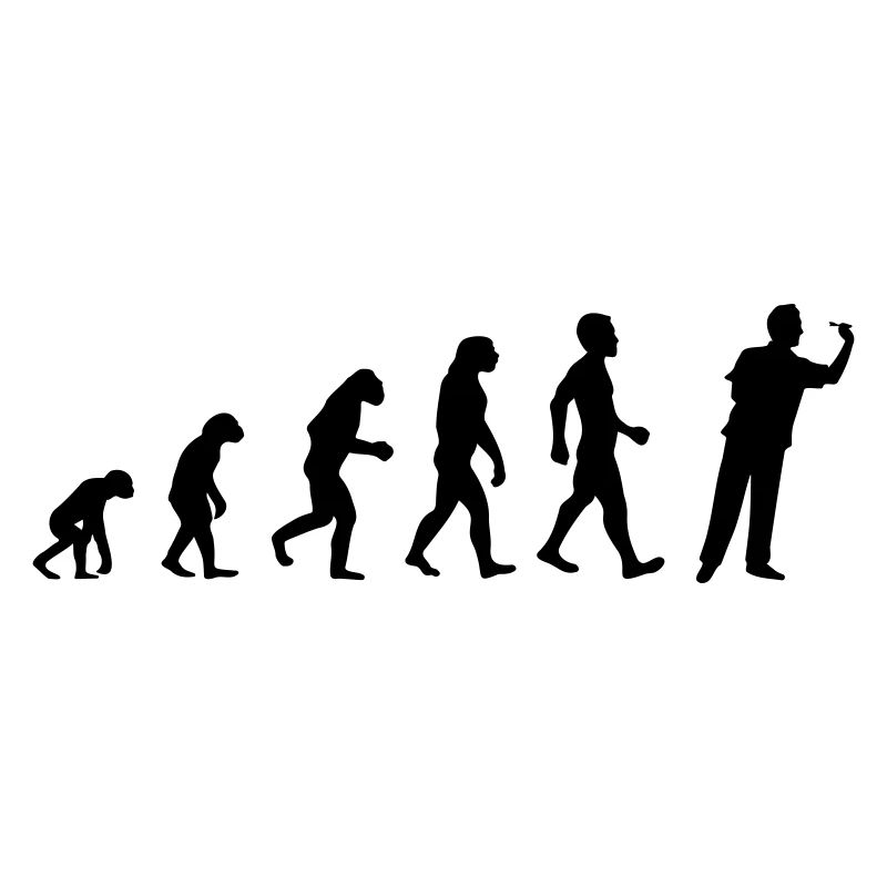 Fléchettes Evolution