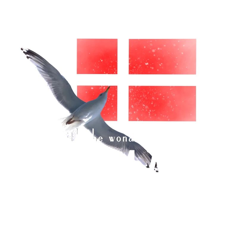Danemark Danmark Seagull