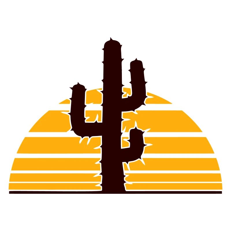 Cactus Sun Prickly Night Desert Sunset
