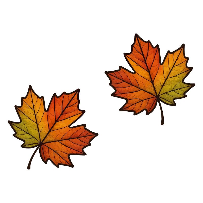 Feuille Automne Feuille d’érable 2