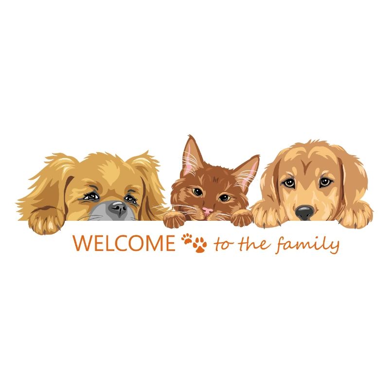 Coup d’œil mignon chat roux et deux chiens