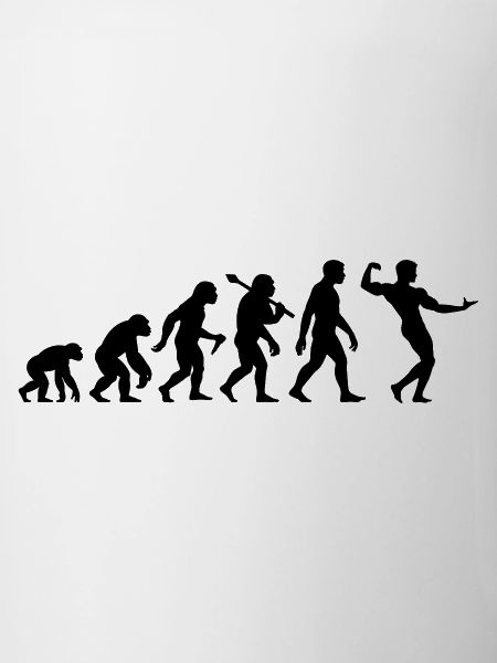 Bodybuilding Evolution Bodybuilder Muskelsport