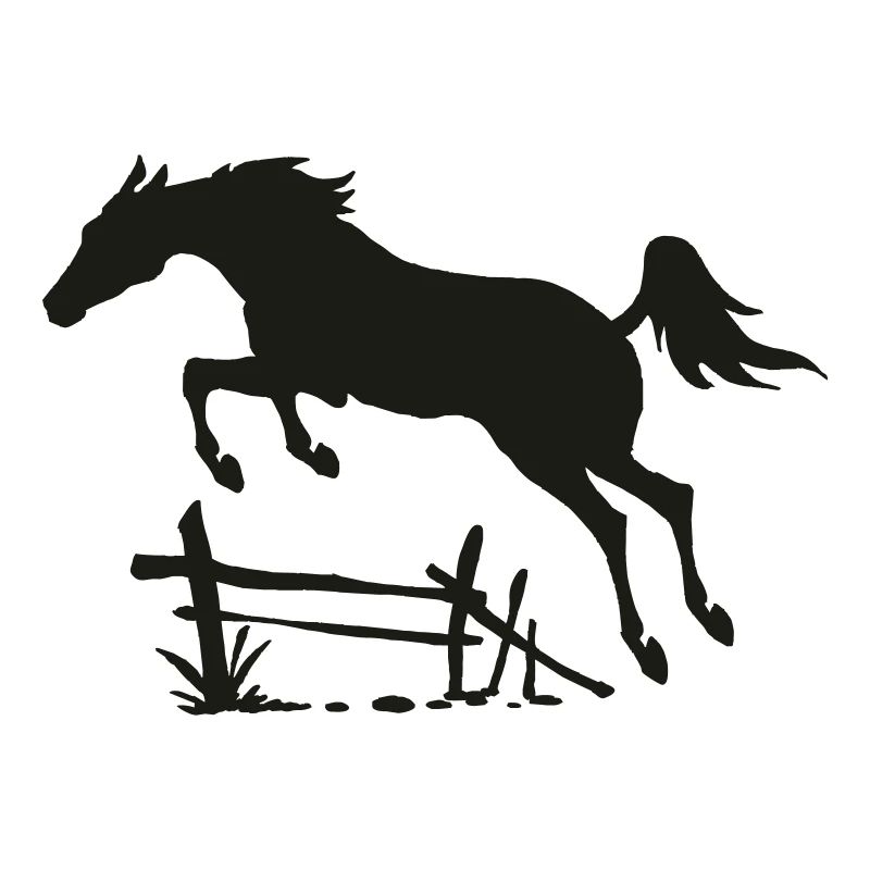 CSO