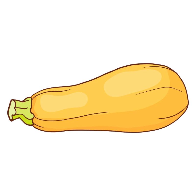 Courgette, courgettes, courgette
