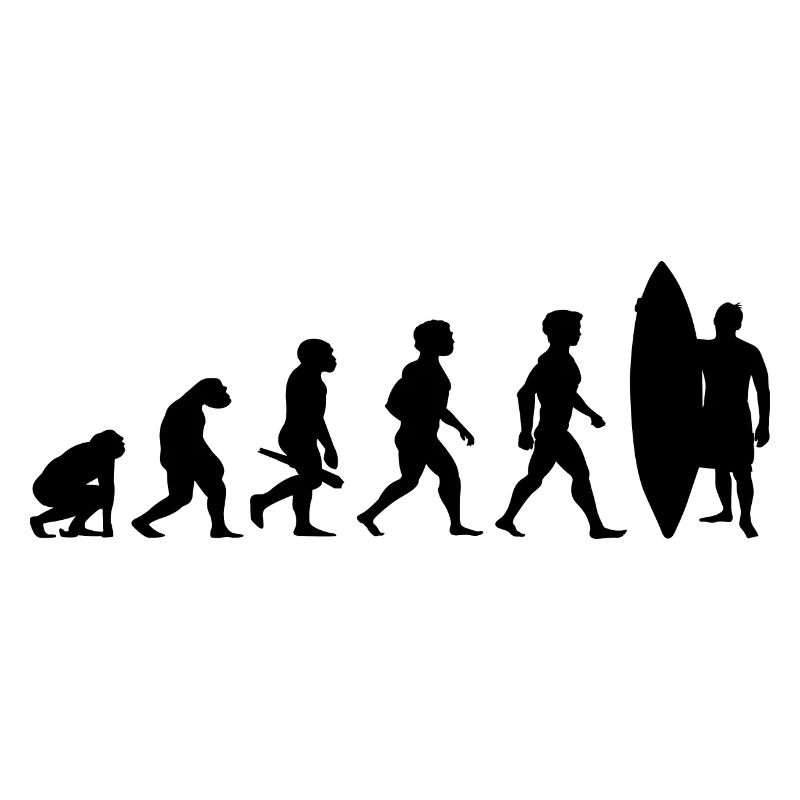 Evolution Surfing Surfer Surfboard Wellenreiten