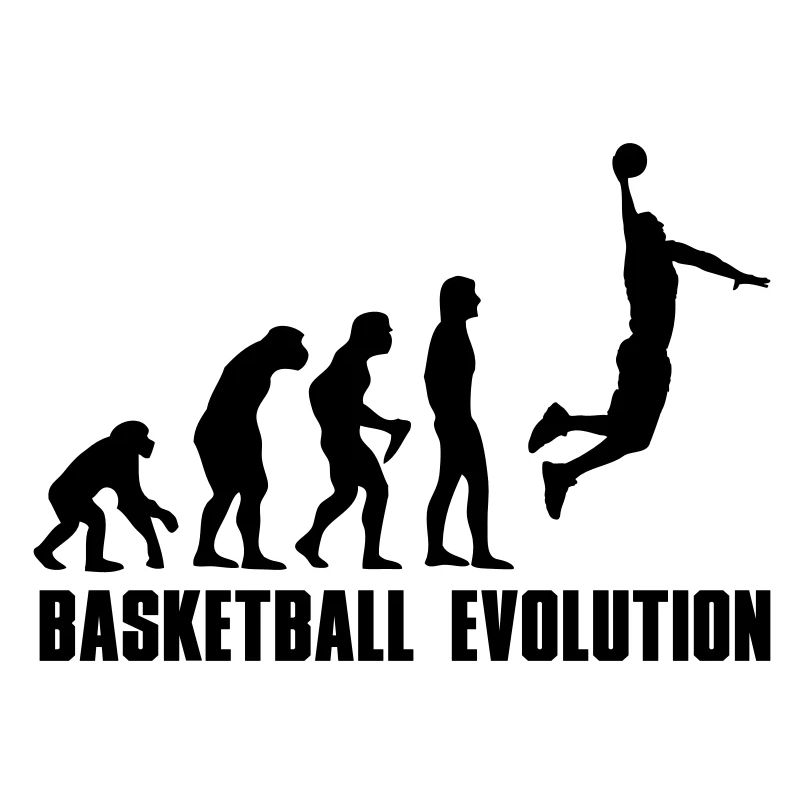 Evolution Basket Dunk