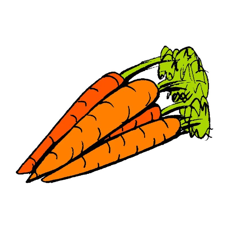 carottes
