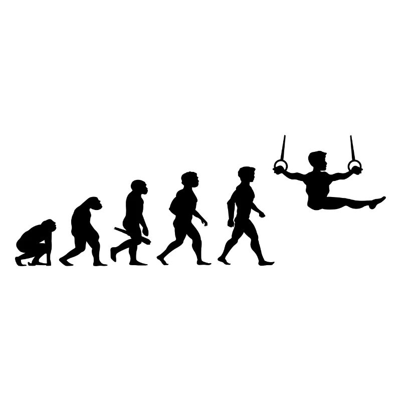 Evolution Gymnastique Gymnastique Acrobatie