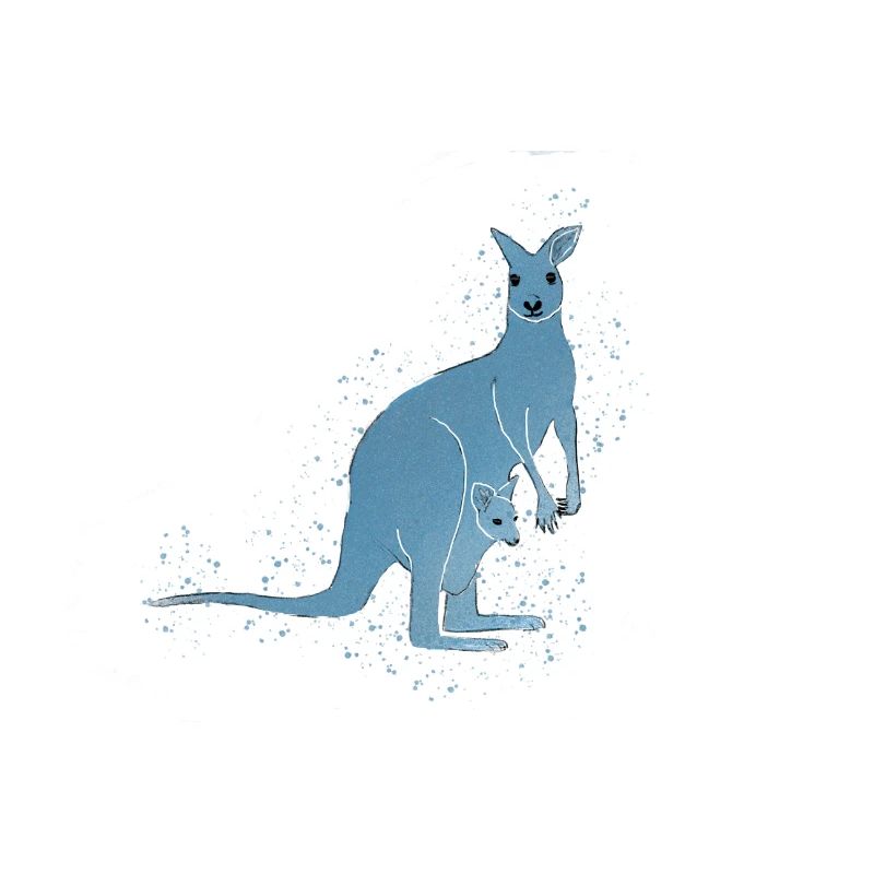Känguru blau